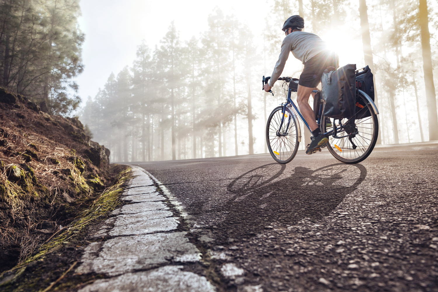 Trekkingbike