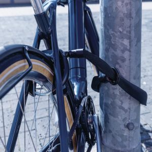 Abus IvyTex Adaptor Chain ACH IVY 6KS/100 - vers. Farben