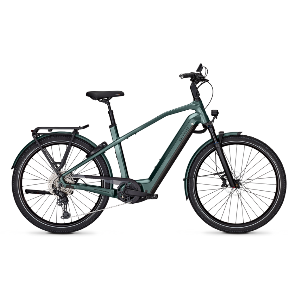 Kalkhoff Endeavour 7 Move + techgreen glossy