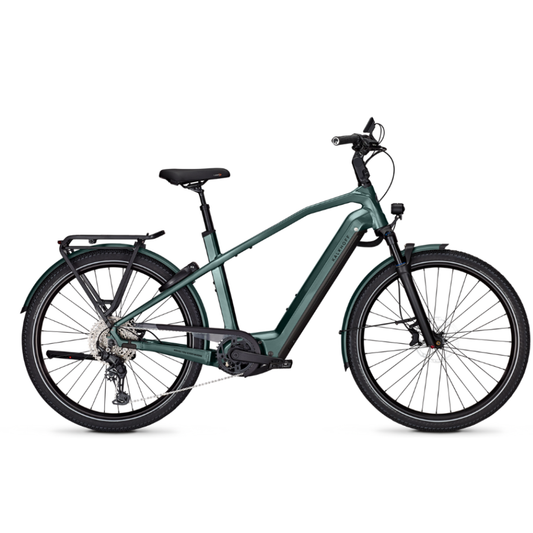 Kalkhoff Endeavour 7 Move + techgreen glossy ! X-MAS DEAL !