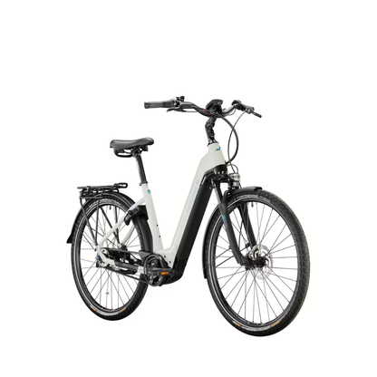 Victoria eManufaktur 11.8