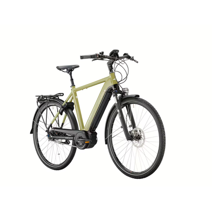 Victoria eTrekking 11.5